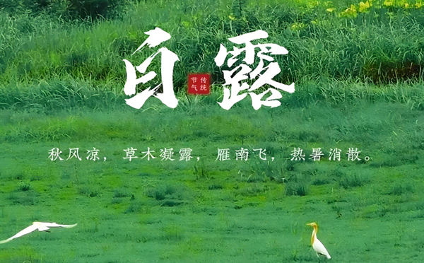 白露清新，新创洁与您共享洁净之美